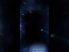 Ein neuer Showroom von ShengW.