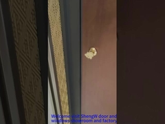 Aluminium-Pivot-Vordertür